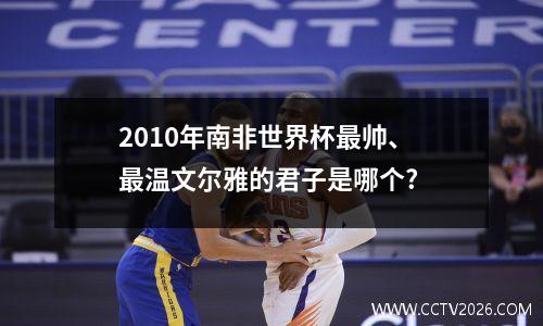 2010年南非世界杯最帅、最温文尔雅的君子是哪个?