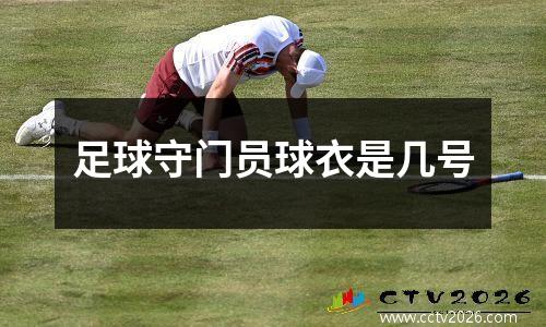 足球守门员球衣是几号