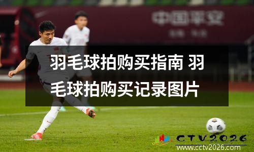 羽毛球拍购买指南 羽毛球拍购买记录图片