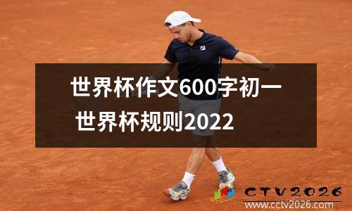 世界杯作文600字初一 世界杯规则2022
