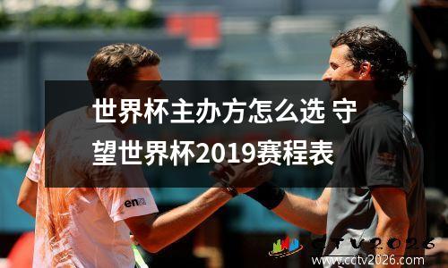 世界杯主办方怎么选 守望世界杯2019赛程表