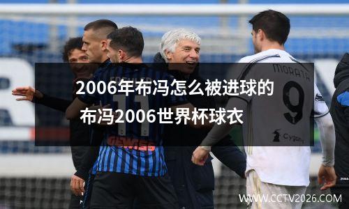 2006年布冯怎么被进球的 布冯2006世界杯球衣
