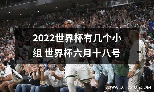 2022世界杯有几个小组 世界杯六月十八号