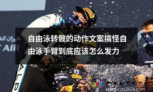 自由泳转髋的动作文案搞怪自由泳手臂到底应该怎么发力