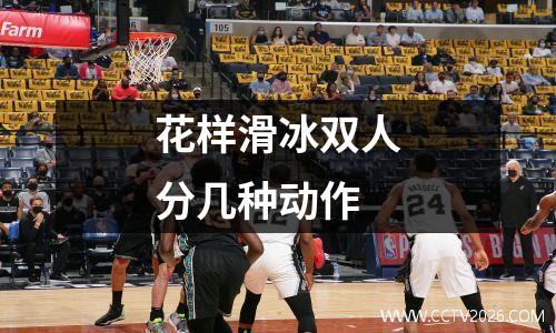 花样滑冰双人分几种动作
