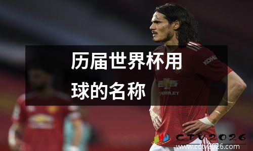 历届世界杯用球的名称