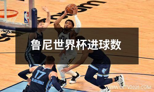 鲁尼世界杯进球数