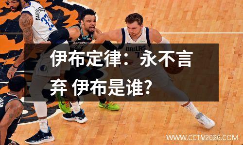 伊布定律：永不言弃 伊布是谁?