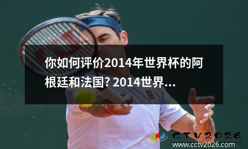 你如何评价2014年世界杯的阿根廷和法国? 2014世界杯法国第几