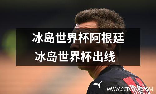 冰岛世界杯阿根廷 冰岛世界杯出线