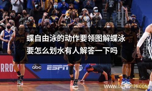 蝶自由泳的动作要领图解蝶泳要怎么划水有人解答一下吗
