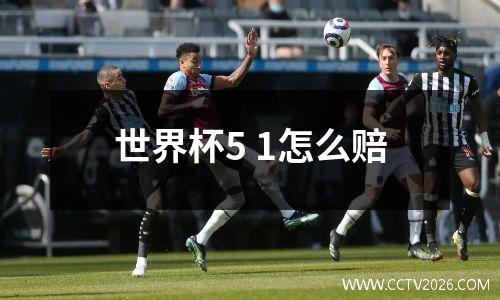 世界杯5 1怎么赔