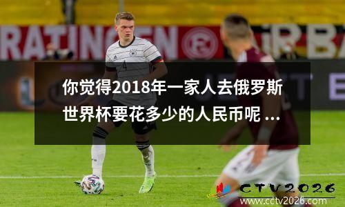 你觉得2018年一家人去俄罗斯世界杯要花多少的人民币呢 2018年世界杯门票收入
