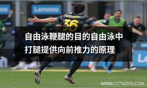 自由泳鞭腿的目的自由泳中打腿提供向前推力的原理