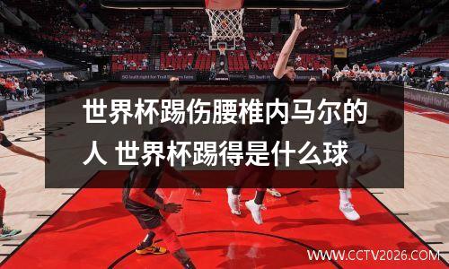 世界杯踢伤腰椎内马尔的人 世界杯踢得是什么球