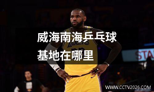 威海南海乒乓球基地在哪里