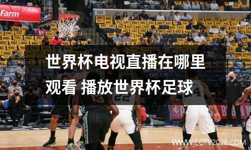 世界杯电视直播在哪里观看 播放世界杯足球
