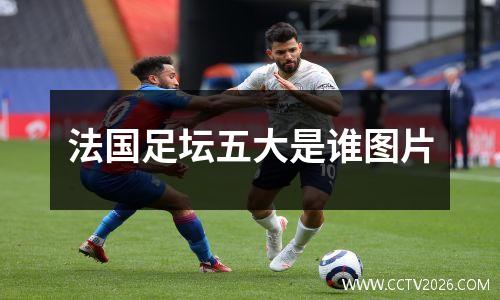 法国足坛五大是谁图片