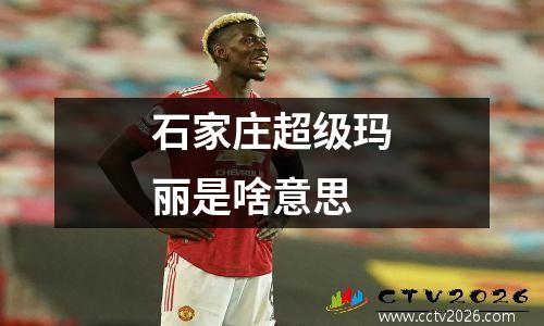 石家庄超级玛丽是啥意思