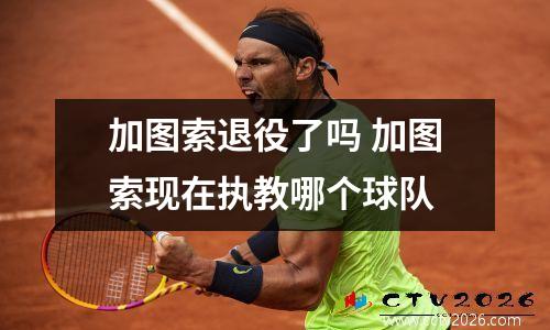 加图索退役了吗 加图索现在执教哪个球队