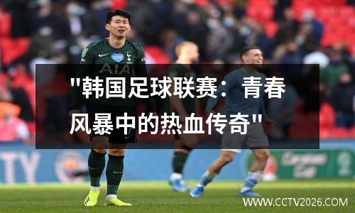 "韩国足球联赛：青春风暴中的热血传奇"