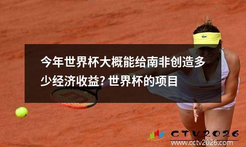 今年世界杯大概能给南非创造多少经济收益? 世界杯的项目