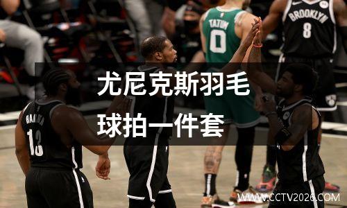尤尼克斯羽毛球拍一件套