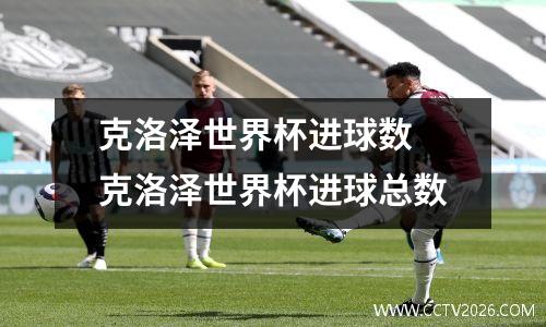 克洛泽世界杯进球数 克洛泽世界杯进球总数