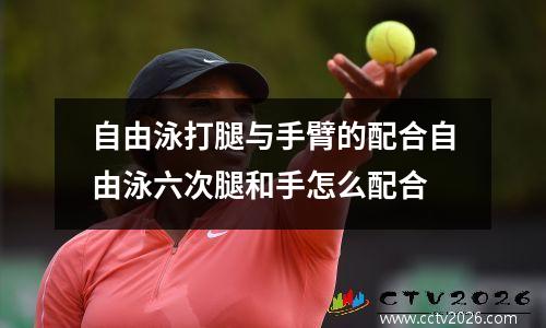 自由泳打腿与手臂的配合自由泳六次腿和手怎么配合