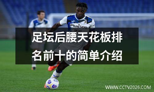足坛后腰天花板排名前十的简单介绍