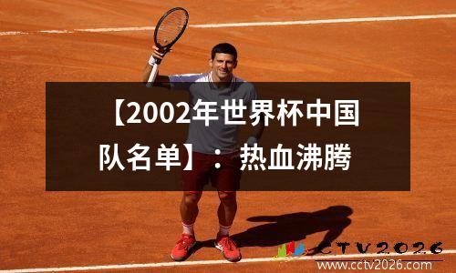 【2002年世界杯中国队名单】：热血沸腾