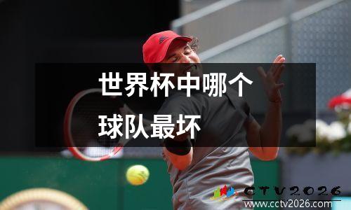 世界杯中哪个球队最坏