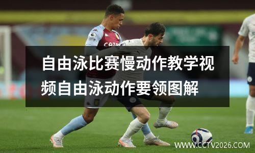 自由泳比赛慢动作教学视频自由泳动作要领图解