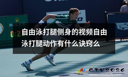 自由泳打腿侧身的视频自由泳打腿动作有什么诀窍么
