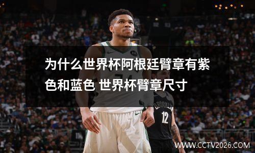 为什么世界杯阿根廷臂章有紫色和蓝色 世界杯臂章尺寸