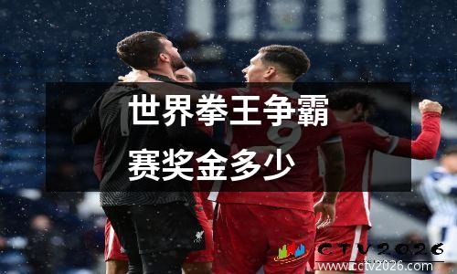世界拳王争霸赛奖金多少