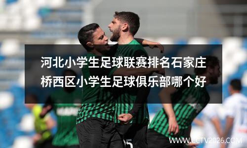 河北小学生足球联赛排名石家庄桥西区小学生足球俱乐部哪个好