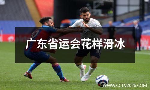 广东省运会花样滑冰