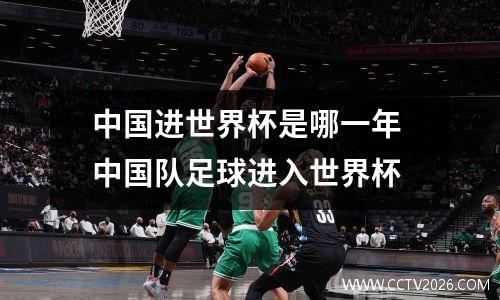中国进世界杯是哪一年 中国队足球进入世界杯