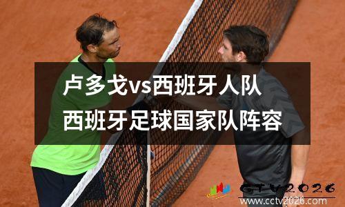 卢多戈vs西班牙人队西班牙足球国家队阵容