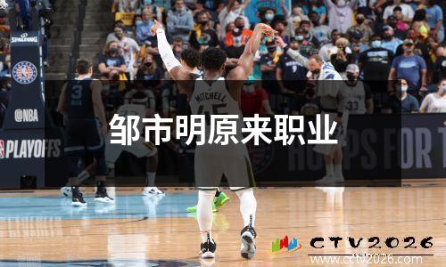 邹市明原来职业