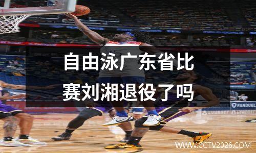 自由泳广东省比赛刘湘退役了吗
