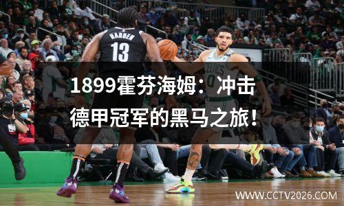 1899霍芬海姆：冲击德甲冠军的黑马之旅！