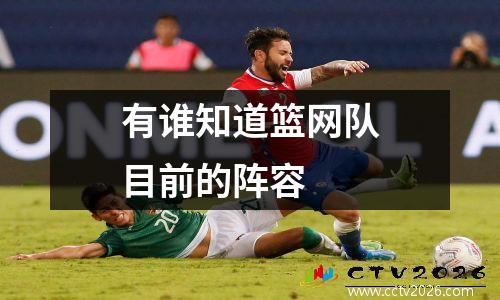 有谁知道篮网队目前的阵容