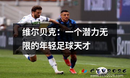 维尔贝克：一个潜力无限的年轻足球天才
