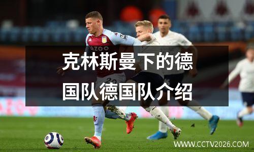 克林斯曼下的德国队德国队介绍