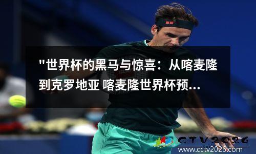 "世界杯的黑马与惊喜：从喀麦隆到克罗地亚 喀麦隆世界杯预选赛