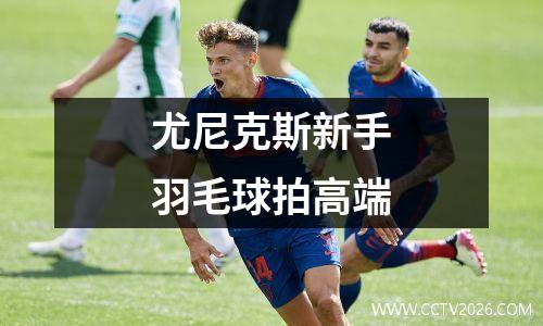 尤尼克斯新手羽毛球拍高端