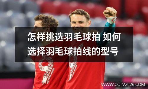 怎样挑选羽毛球拍 如何选择羽毛球拍线的型号