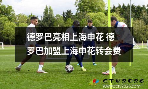 德罗巴亮相上海申花 德罗巴加盟上海申花转会费
